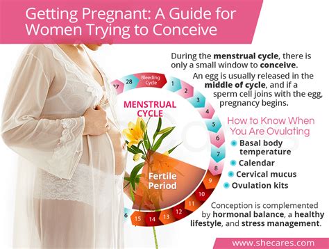 getting pregnant a guide for women trying to conceive shecares