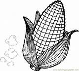 Corn Coloring Pages Printable Thanksgiving Cob Drawing Ear Indian Getdrawings Holidays Color Print Field Getcolorings Pw Comments sketch template