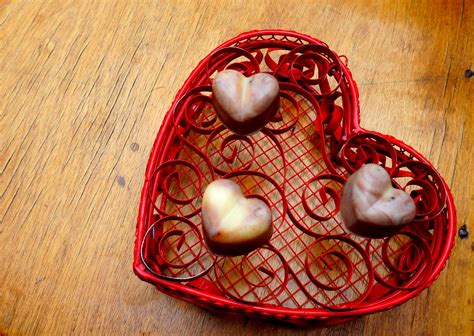 diy chocolate lovers massage bars {inspired by lush soft coeur} the