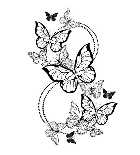 butterfly coloring pages butterfly coloring book  adults