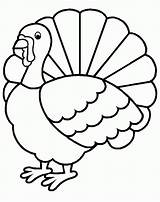 Coloring Turkey Pages Wild Popular sketch template