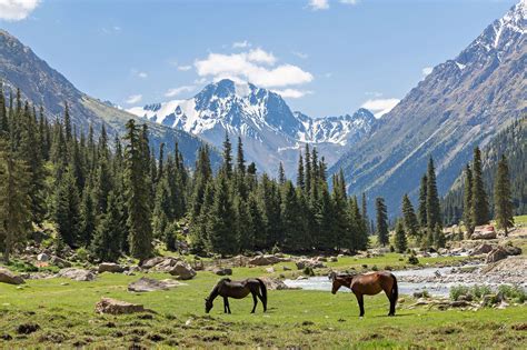 hikes  kyrgyzstans tian shan mountains