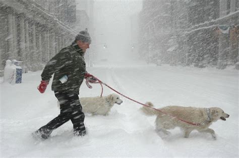 weekend storm is second on list of five snowiest blizzards in nyc history — just short of the