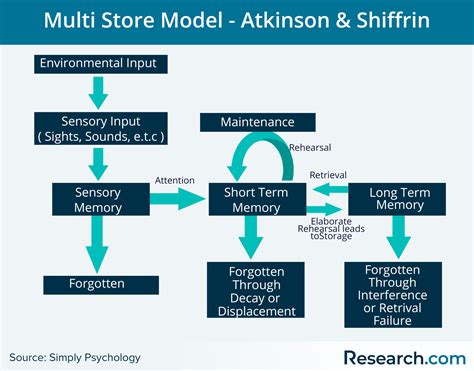 information processing theory stages models limitations