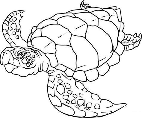 printable coloring pages sea animals printable coloring pages