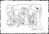 Coloring Pages Rainforest Plants Amazon Ages Printable Clipart Jungle Clip Coloringhome Library Choose Board sketch template