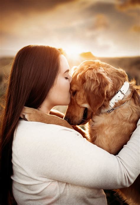 golden retriever pet photography dog photoshoot dog
