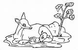 Deer Coloring Baby Mother Pages Mom Roe Kolorowanki Animals Tail Do Moms Clipart Druku Color Sarenka sketch template