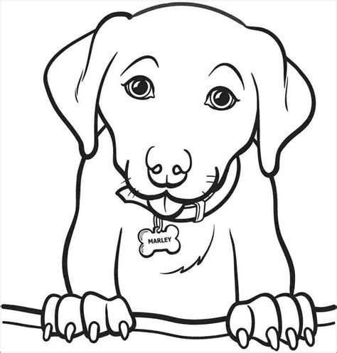 lab puppy coloring pages