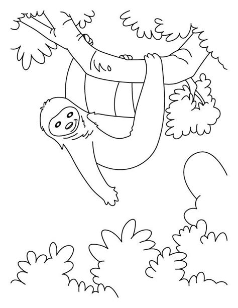 sloth coloring page sloth coloring pages   hanging