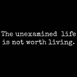 🎉 a life unexamined the unexamined life is not worth living 2022 11 03