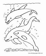 Coloring Pages Dolphins Dolphin Kids Animal Color Printable Swimming Sheets Found sketch template