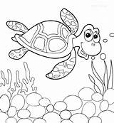 Coloring Pages Turtle Sea Baby Cute Getcolorings Printable Color sketch template