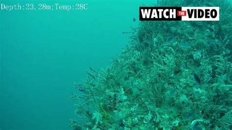 stunning footage  underwater drones  advertiser