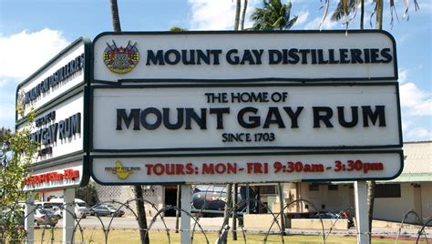 mount gay rum alive and well scuttlebutt sailing news