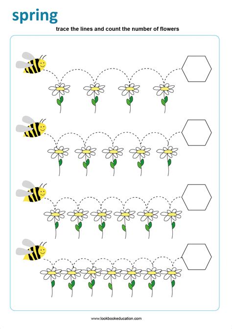 worksheet spring bees lookbook education