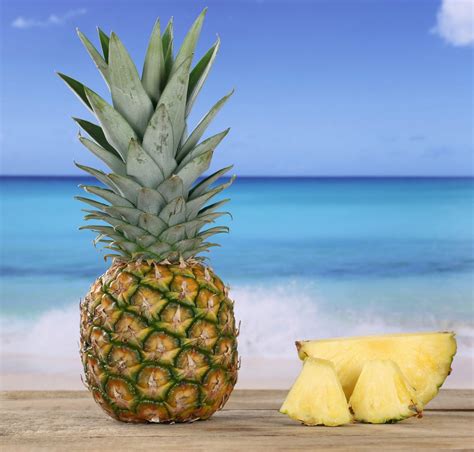 curious questions   pineapples called pineapples  theyre