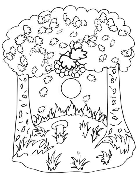 autumn coloring page autumn trees