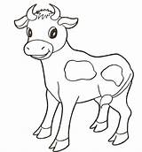 Mucche sketch template