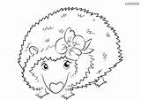 Hedgehog Coloring Flower Cute Animals sketch template