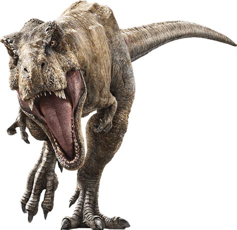 Jurassic World Fallen Kingdom Tyrannosaurus Rex By