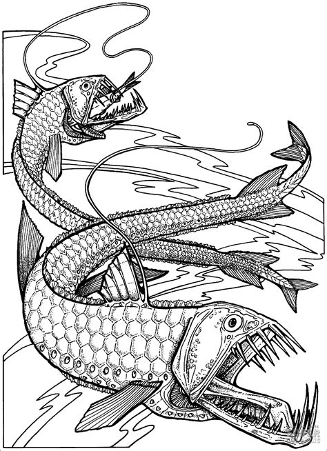 deep sea fish coloring pages coloringbay