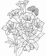 Coloring Pages Adults Flower Flowers Realistic Getdrawings sketch template