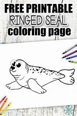 Arctic Coloring Animal Printable Pages Simple sketch template