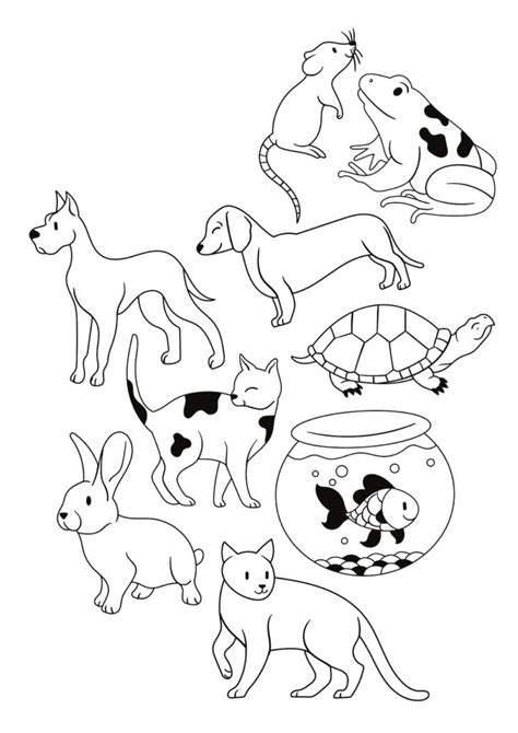 cute pets coloring page  print  color