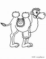 Chameau Coloriage Camello Camelos Camellos Dibujo Colorir Animales Camel Salvajes Greatestcoloringbook sketch template