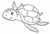Turtle Coloring Sea Pages Drawing Realistic Loggerhead Kids Printable Snapping Alligator Cute Color Turtles Baby Shell Box Leatherback Colouring Drawings sketch template