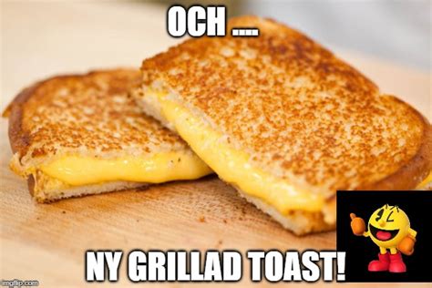 grilled cheese memes gifs imgflip