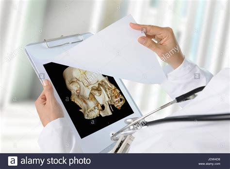 skull picture stock  skull picture stock images alamy