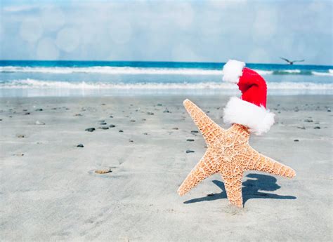 beach happy holidays images google search coastal christmas decor