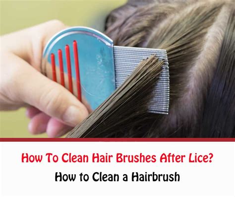 clean hair brushes  lice easy  fast