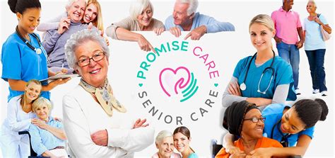 promise care senior care voted  home care provider mobileal