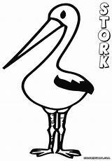 Stork Storks Colorings sketch template