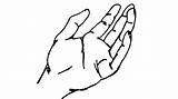 Hand Palm Drawing Holding Sketch Hands Open Draw Step Something Graphic Illustrator Sketches Paintingvalley Clipartmag Clipart sketch template