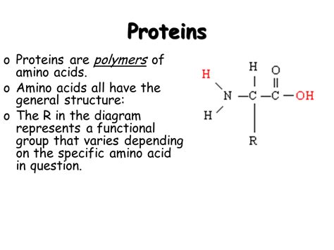 basic biochemistry carbohydrate protein  fat  chemistry