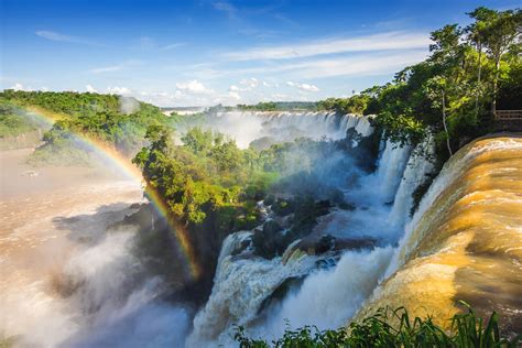 saiba porque  mata atlantica  mais importante   voce imagina