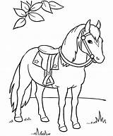 Coloring Horse Pages Preschool Printable sketch template