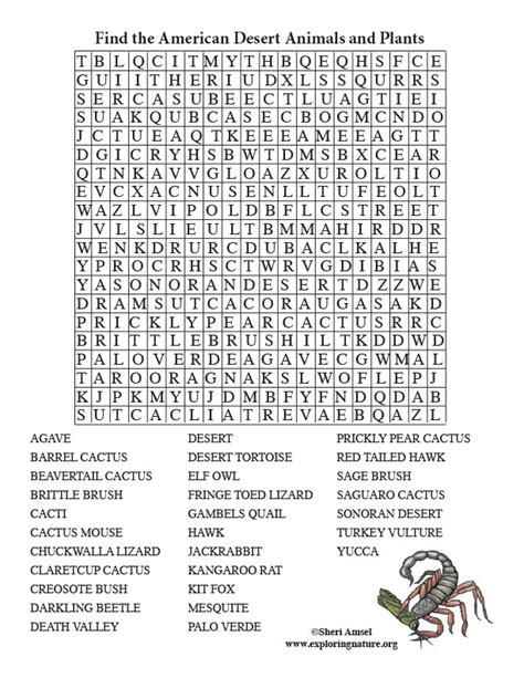 printable word search puzzles adults large print hard printable