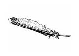 Coloring Feather Pages Native Tomahawk Plum Pole Totem Edupics sketch template