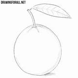 Guava Drawingforall sketch template