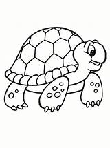 Tortugas Kura Mewarnai Tortuga Dibujar Tiernas Idibujosparacolorear Galápagos Turtles Rùa Tô Màu sketch template