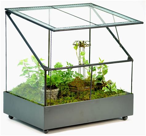 large wardian case terrarium ann inspired