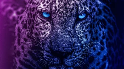 Cool Red And Blue Wallpaper Lion We Have A Massive
