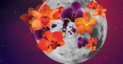 9 ways to harness the sexual energy of tonight s full moon mindbodygreen