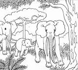 Coloring Elephant Pages Colouring Stencil Family Baby Olifanten Elephants Peanut Outline Comments Drawing sketch template