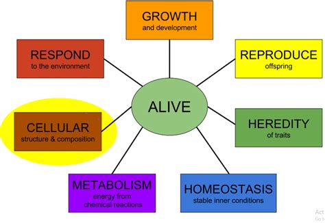 characteristics  life  biology